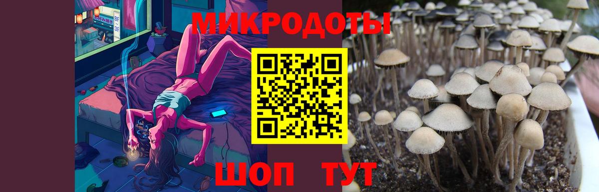 Галлюциногенные грибы мухоморы  Галлюциногенные грибы Psilocybine cubensis  где купить наркотик  Кузнецк  Вход с VPN 