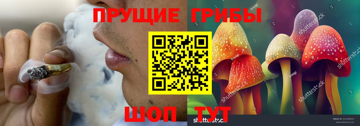 Галлюциногенные грибы прущие грибы Кузнецк